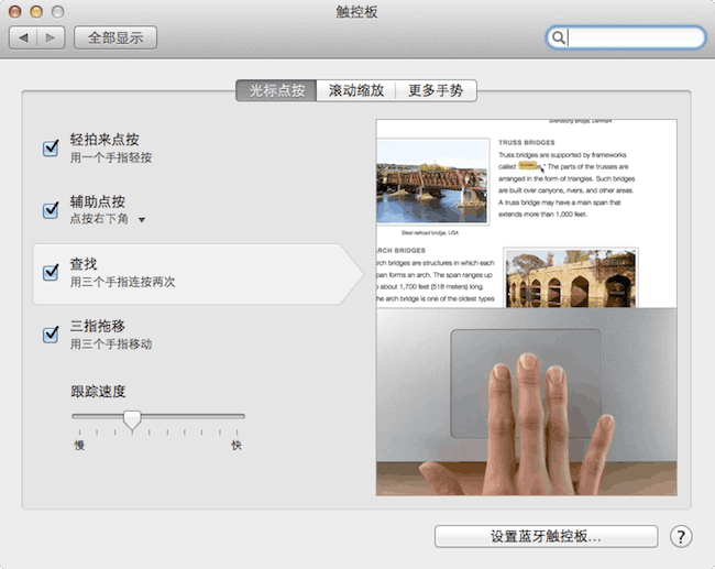 苹果电脑 Mac OS X 系统偏好设置里的字典屏幕取词设置界面