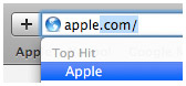 苹果Safari4浏览器截图